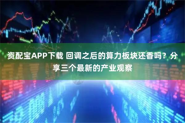 资配宝APP下载 回调之后的算力板块还香吗？分享三个最新的产业观察